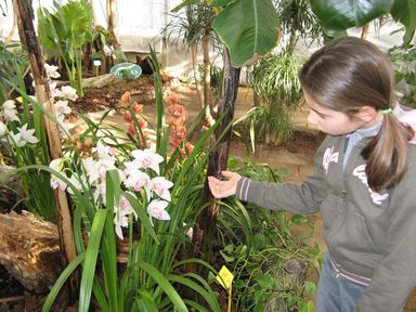 Evento Festival delle Biodiversit