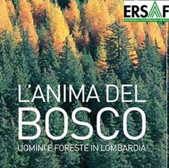 Evento Festival delle Biodiversit: L'Anima del Bosco: uomini e foreste in Lombardia