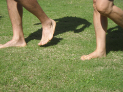 Evento Festival delle Biodiversit: Bare Foot Run