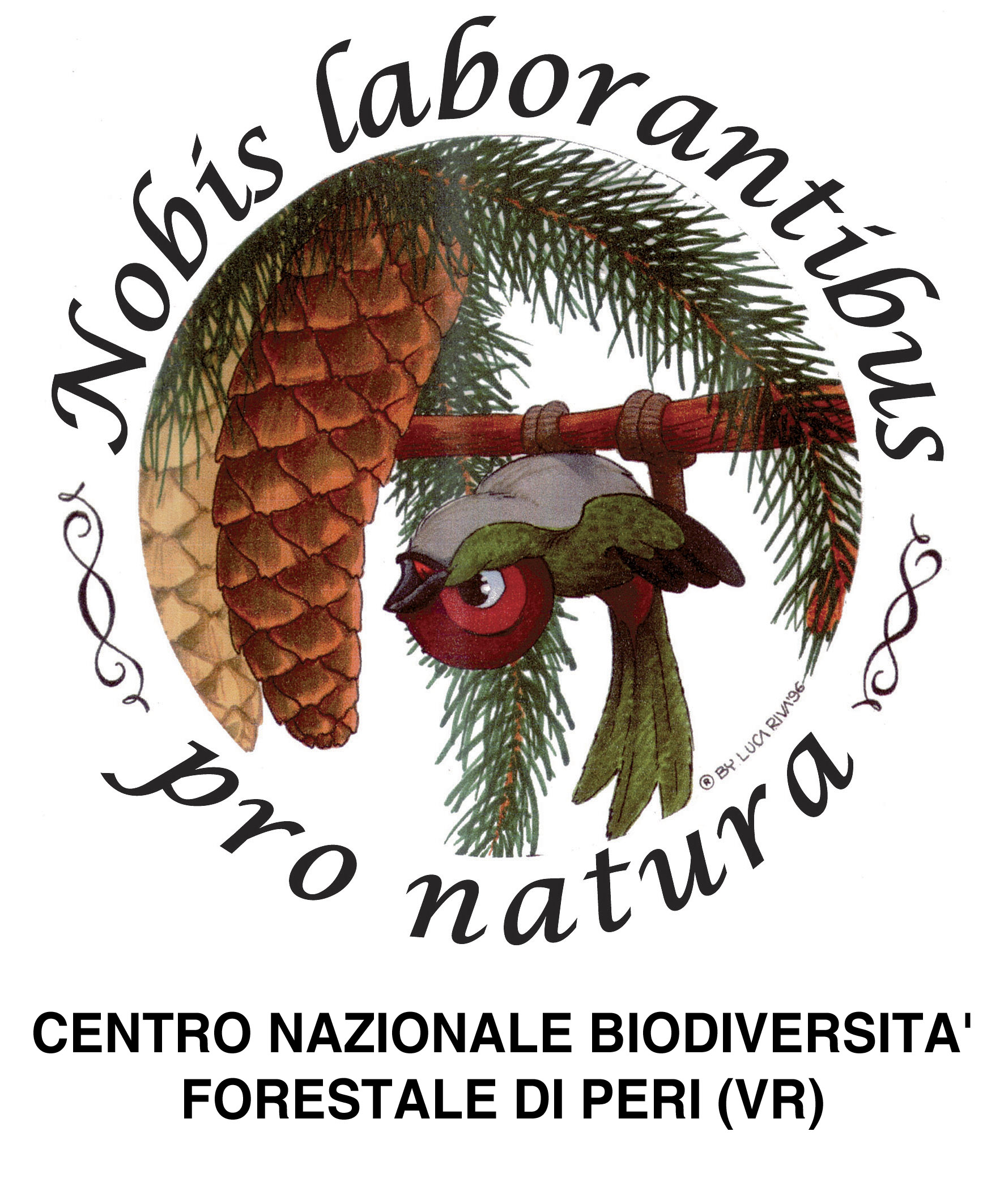 Evento Festival delle Biodiversit