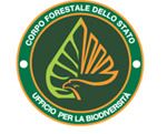 Evento Festival delle Biodiversit: Insetti nelle foreste umide